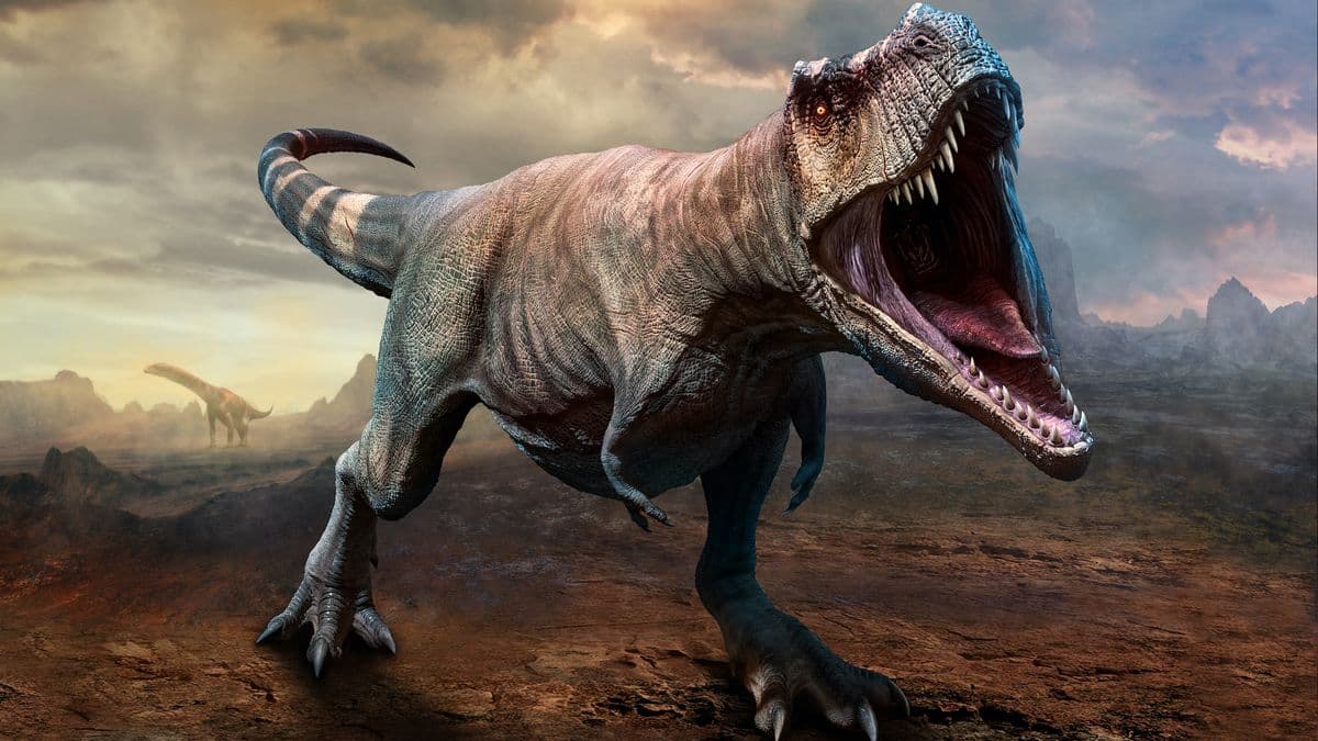 The Age of Trex