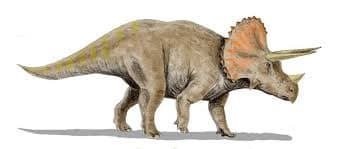 The Age of Dinosaurs