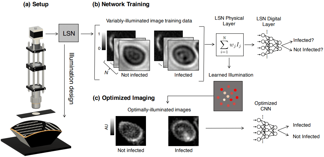 Learned Sensing: Jointly Optimized Microscope Hardware for Accurate Image Classification