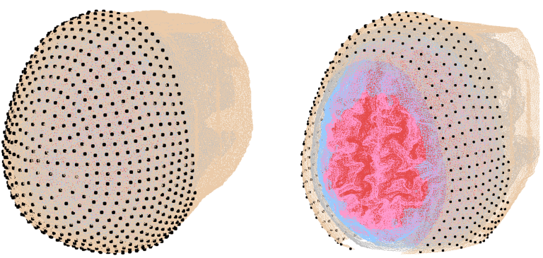 scatterBrains: an Open Database of Human Head Models and Companion Optode Locations for Realistic Monte Carlo Photon Simulations