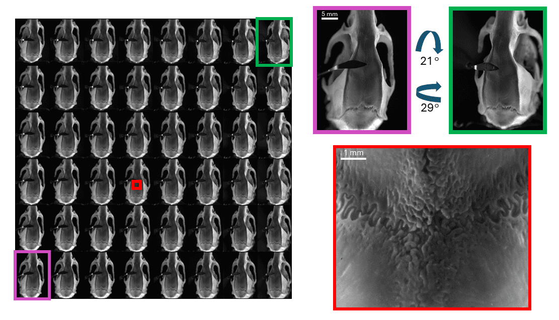 Fig 2
