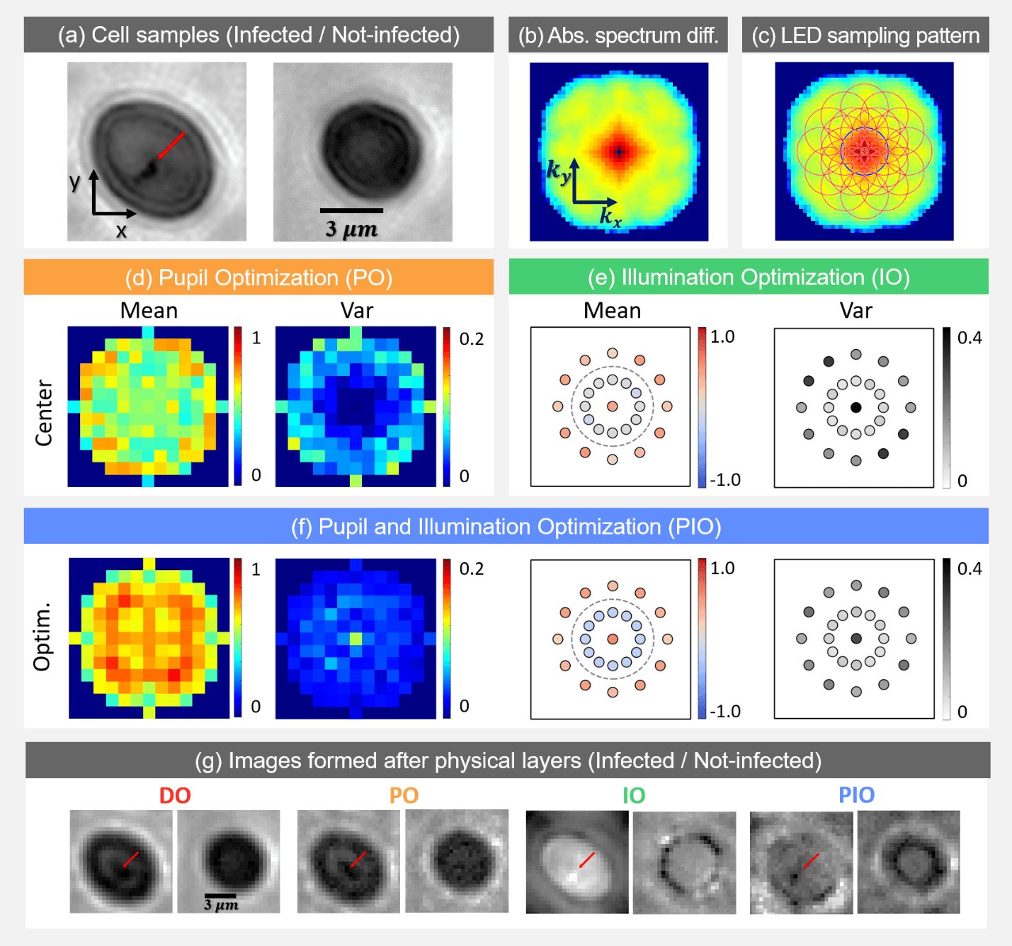 Malaria Parasite Detection Results