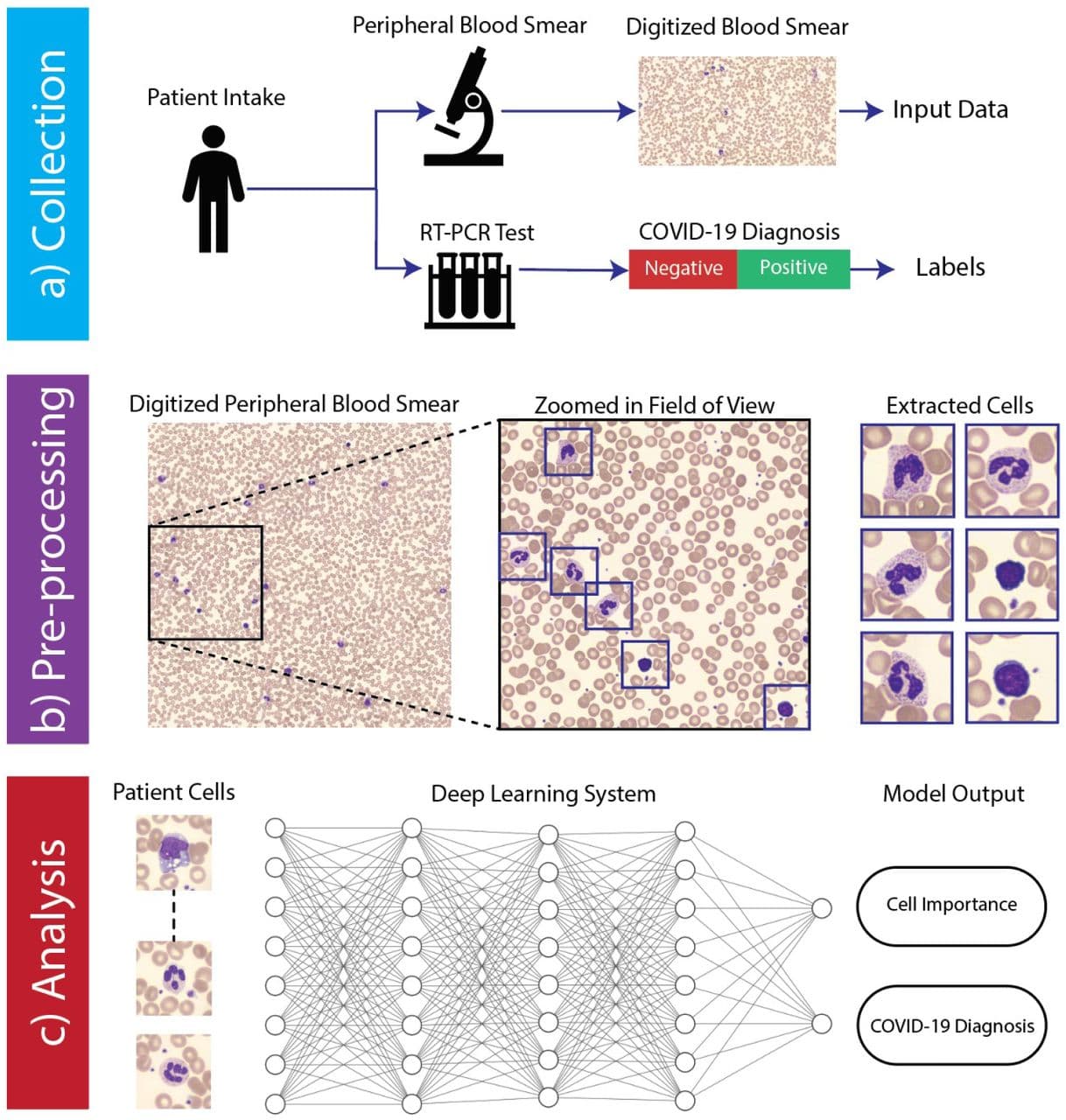 Deep Optical Blood Analysis: COVID-19 Detection as a Case Study in Next Generation Blood Screening