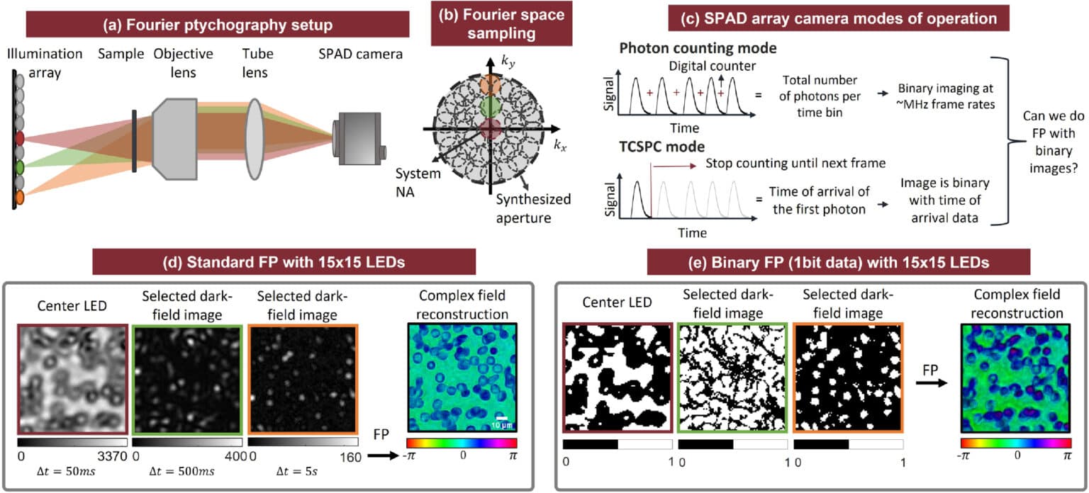 Quantized Fourier Ptychography with Binary Images from SPAD Cameras