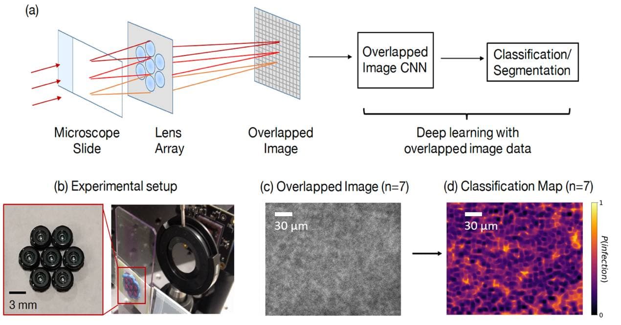 Increasing a Microscope’s Effective Field of View via Overlapped Imaging and Deep Learning Classification